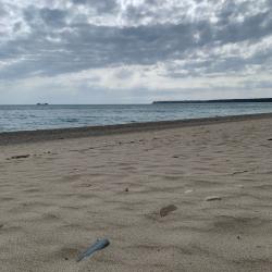 Фото Отель Riviera (Ривьера)