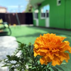 Фото Отель Камена