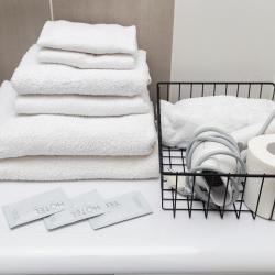 Фото Отель Vetka Home (Ветка Хоум)на проспекте Красный
