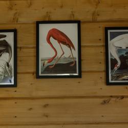 3-местный Коттедж в лесу №5