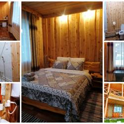 Фото Отель Country House Teletskoye (Кантри Хаус Телецкое)