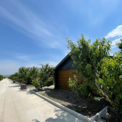 Фото Отель Персиковый Остров