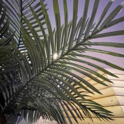 Фото Отель Чемодан