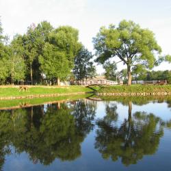 Фото Отель Колкуново