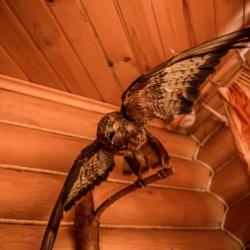 Фото Отель Holiday park (Холидей Парк)