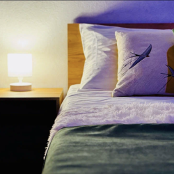 Фото Апартаменты на Пескова