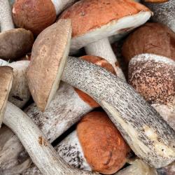 Фото Отель Гостевой дом Брейтово