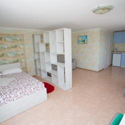 Комната люкс с 1 двуспальной кроватью