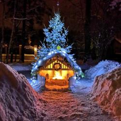 Фото Отель Бунгало