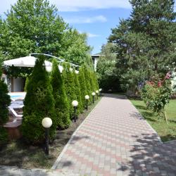 Фото Отель Лукоморье