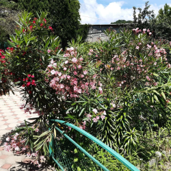 Фото Отель ЮрГа