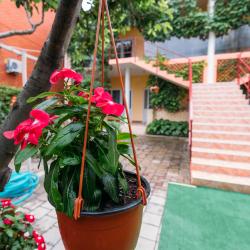 Фото Отель Нина