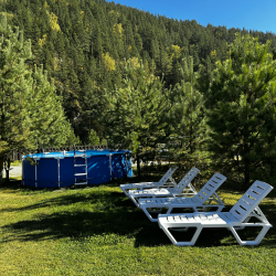 Фото Отель BraunHouse (Браун Хаус)