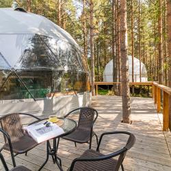 Купол «Карельский лес»