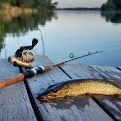 Фото Отель Берлога