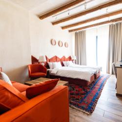 Номер делюкс с 1 двуспальной кроватью и террасой