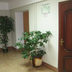 Фото Отель Русь