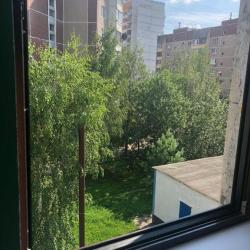 фото 38 Вежливый Лось на Бунинской аллее