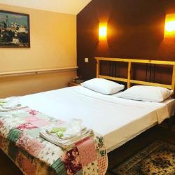 Фото Отель Родина