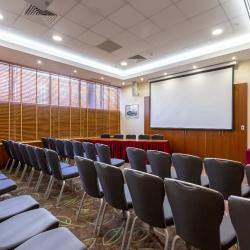 фото 55 Holiday Inn Moscow Sokolniki (Холидей Инн Москва Сокольники)