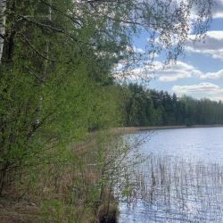 Фото Отель Круиз Вилладж