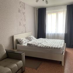 Фото Апартаменты на Шишкова 144Б