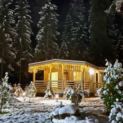 Домик на опушке