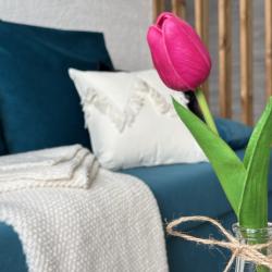 2-комнатные апартаменты стандарт Уютный Loft вблизи ЖД, Аквапарка, Цирка, Зоопарка