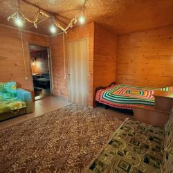 Фото Отель Altay Sun (Алтай Сан)