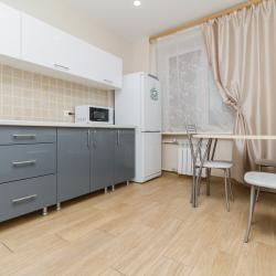 Фото Апартаменты на проспекте Ленина 64