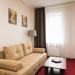 Номер комфорт бизнес с 1 двуспальной кроватью и диваном