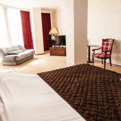 Номер полулюкс с 1 двуспальной кроватью