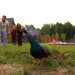 Фото Отель Варилка