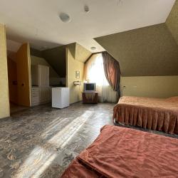 Фото Отель Лев