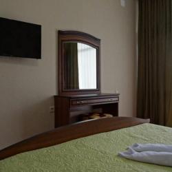 Фото Отель Гостевой дом Аринс Парк