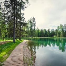 Фото Отель Cosmos Collection Izumrudny Les Hotel (Космос Изумрудный Лес)