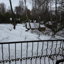 Русский лес — 65efc82c85fe238638bdee0b8b16d9bb