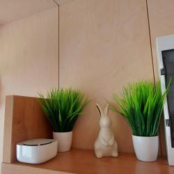 Фото Отель Алтайдом Белогорье