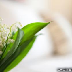 Фото Отель Джеваль