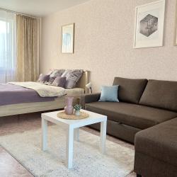 Фото Отель Rental Family Rooms (Рентал Фэмили) на Московском проспекте 215