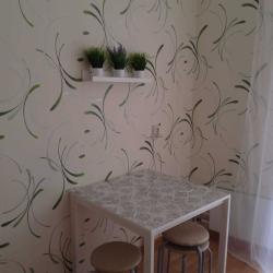 Фото Апартаменты на улице Феофанова 2Г