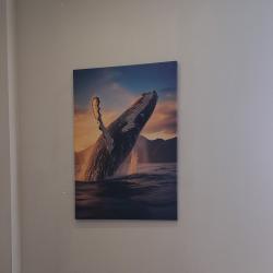 Фото Апартаменты на проспекте Ленина 70