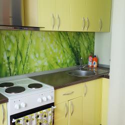 Фото Апартаменты на улице Городилова 4