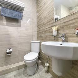 Номер стандарт Плюс с 1 двуспальной и 1 односпальной кроватью (Корпус Сильвер)