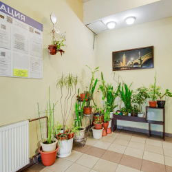 Фото Отель Home Like (Хоум Лайк) на улице Белорусская 10