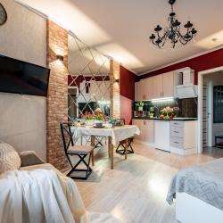 1-комнатные апартаменты студия Окно в New York_Санкт-Петербург, Мурино, Привокзальная пл., д.1а, к2