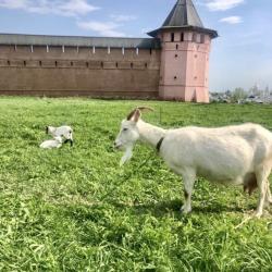 Фото Отель У монастыря