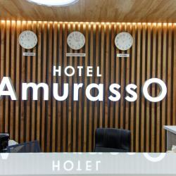 Фото Отель Амурассо