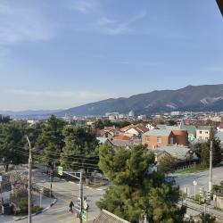 фото 45 Кипарис