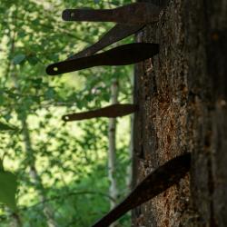 Фото Айтау Спортинг-Отель